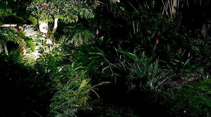 Santa Lucia Guest House