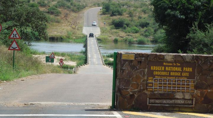 Trees Too Guest Lodge