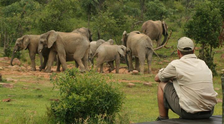 Makweti Safari Lodge