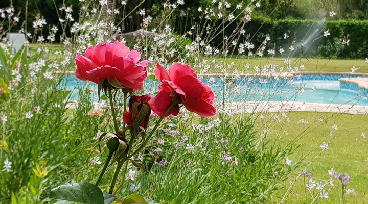 Hopefield Country House & Guest Farm