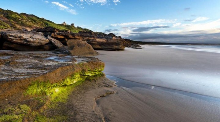 Sandpiper Guest Cottages