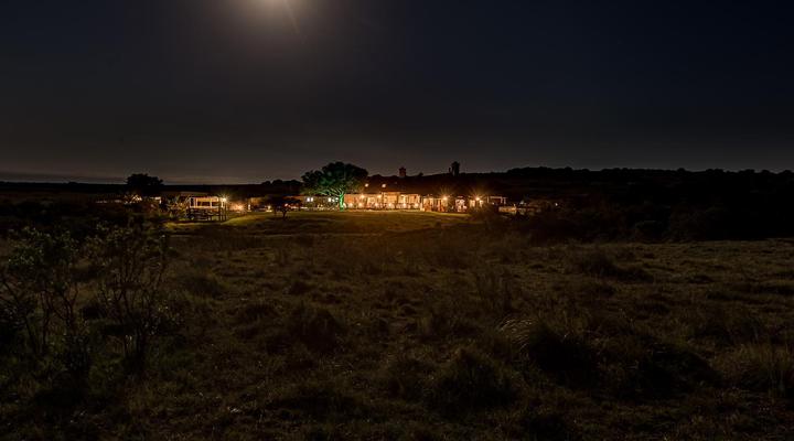 Hlosi Game Lodge - Amakhala Game Reserve