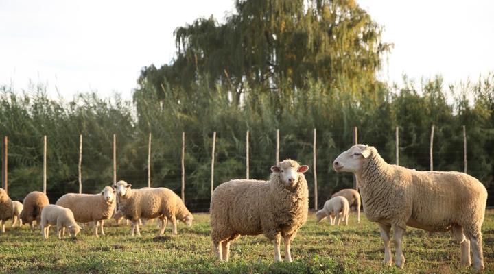 De Opstal Country Lodge