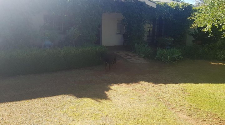 Springfontein Guest House