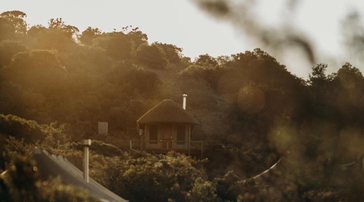 Bukela Game Lodge - Amakhala Game Reserve