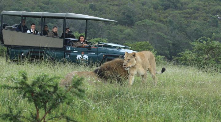 Sibuya Game Reserve