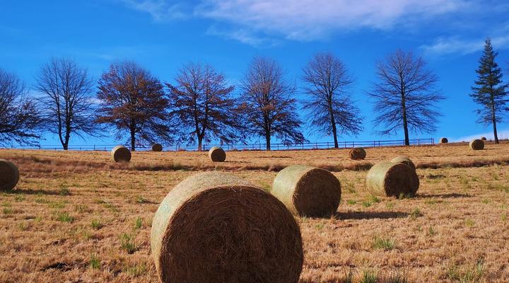 Amazian Mountain River Lodge Drakensberg