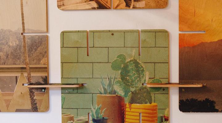 Daddy Long Legs Art Hotel