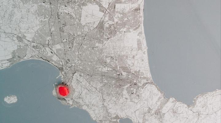 Daddy Long Legs Art Hotel