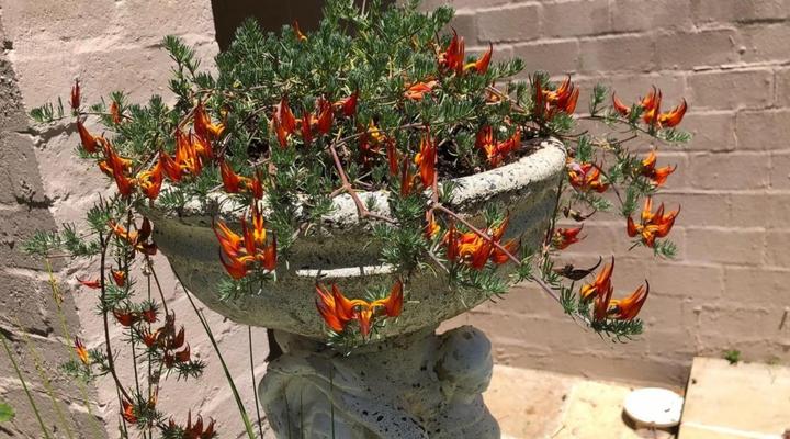 Summit Place Guest House 