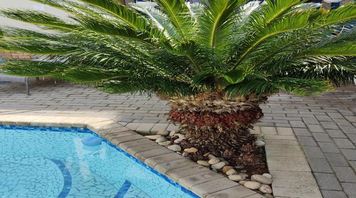 Palm Beach Guesthouse