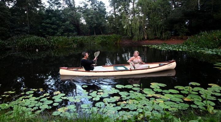 Peace of Eden ~ Vegan Forest Escape