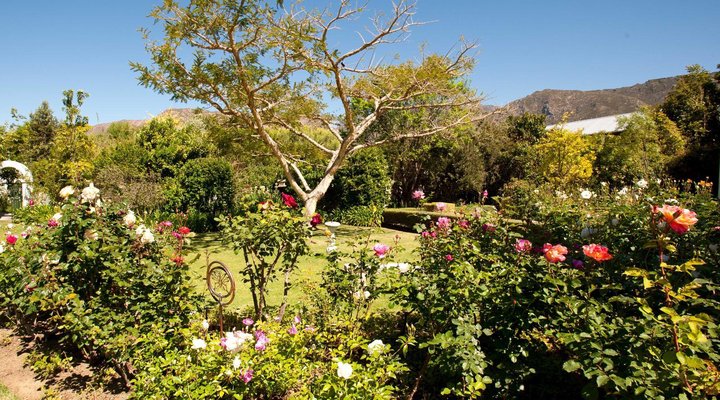 7 Church Street Guest House