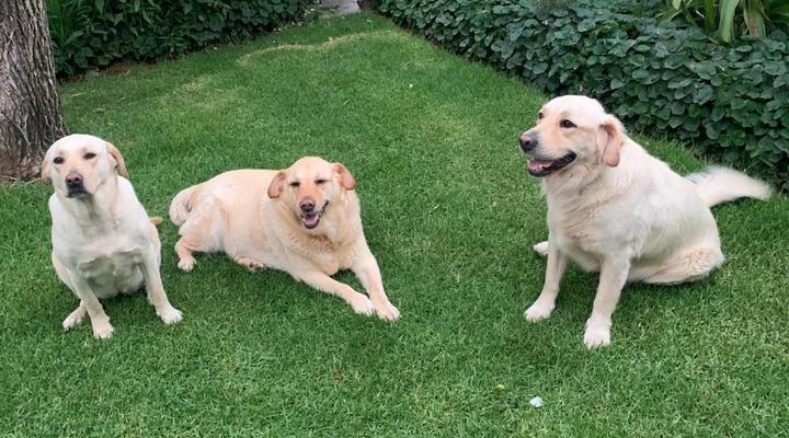 Happy Lands B&B Addo South Africa