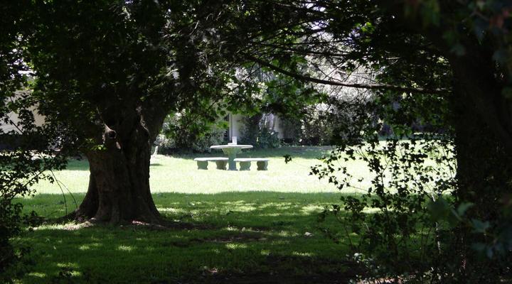 Wild Berry Guest Farm