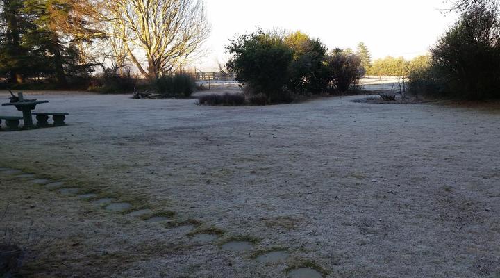 Wild Berry Guest Farm