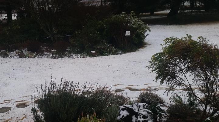 Wild Berry Guest Farm