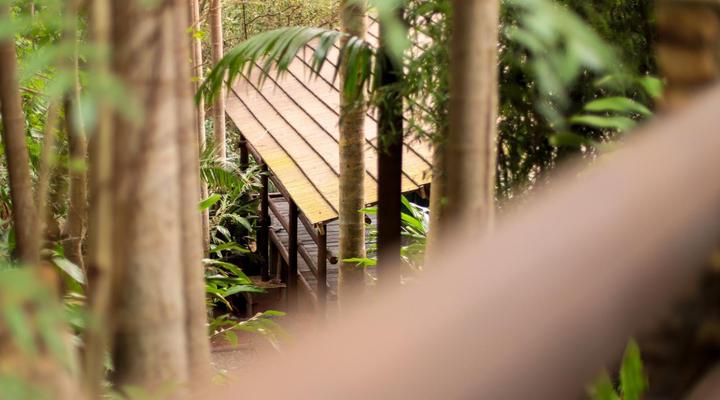 Phophonyane Falls Lodge & Nature Reserve