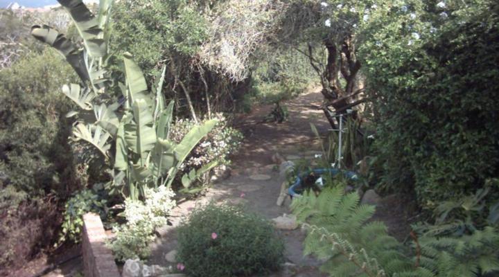 Dolphin View Guesthouse