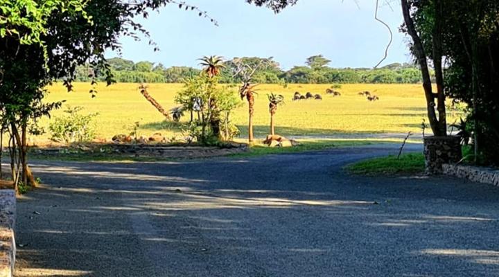 Ezulwini Game Lodge