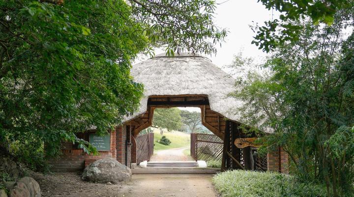 iNsingizi Game Lodge & Spa