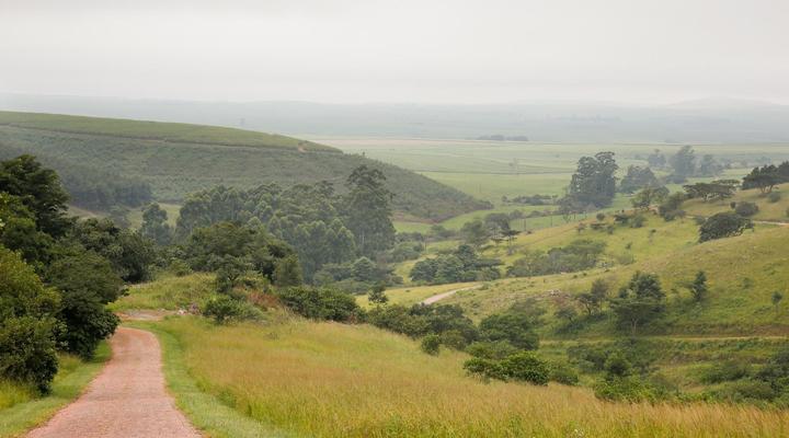 iNsingizi Game Lodge & Spa