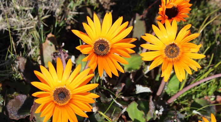 Welbedacht Game & Nature Reserve