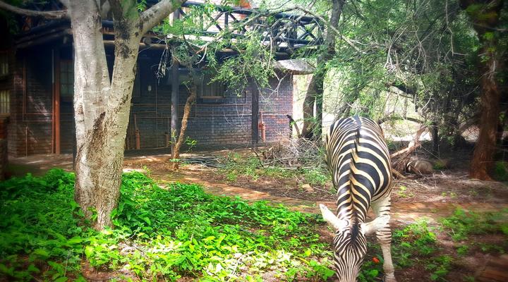 Phumula Kruger Lodge and Safaris