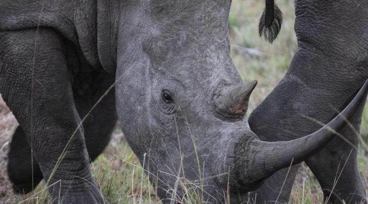 Whalesong Guest House