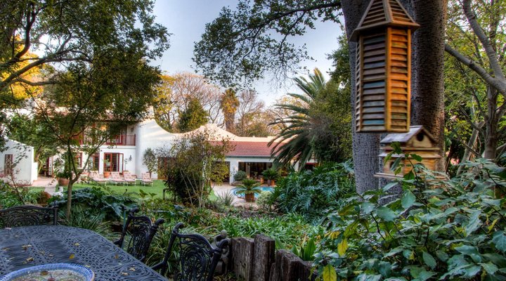 The Oasis Boutique Hotel