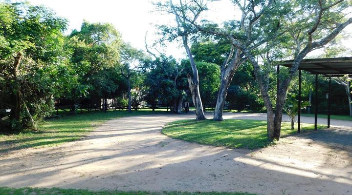 Isinkwe Bush Camp