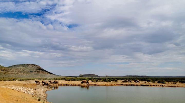 Motswiri Private Safari Lodge