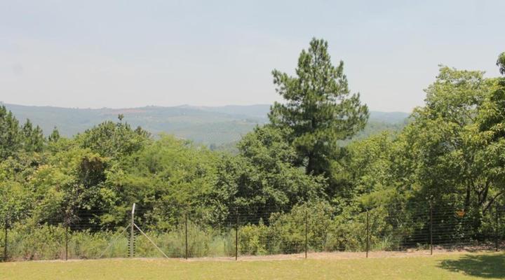 Cuckoo Ridge Country Retreat