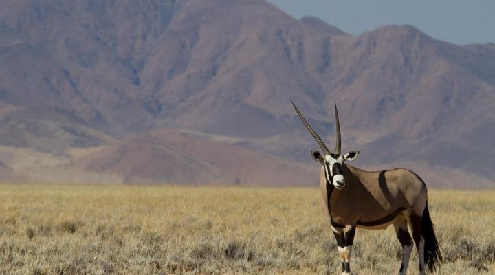 NamibRand Family Hideout