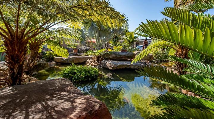 Excellent Guest House