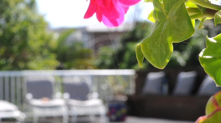 The Beach House Port Alfred