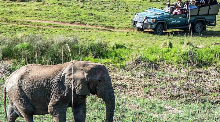 Amakhala - The Safari Lodge