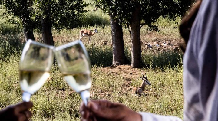 Vindoux Guest Farm & Spa