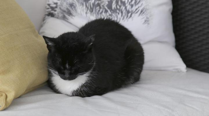 Dysart Accommodation