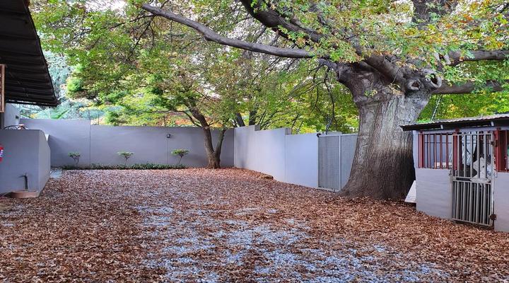 7th Street Guesthouse