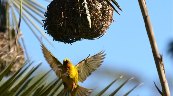 Darling Lodge Guest House
