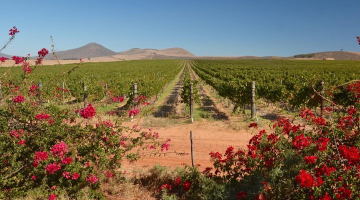 Darling Lodge Guest House