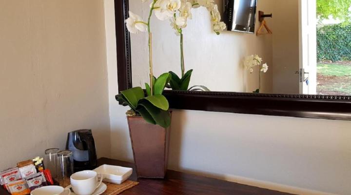 Aloes 62 on Meintjies