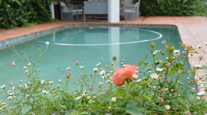 Lemon n Lime Guesthouse