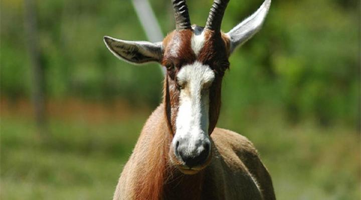 Outeniqua Mountain Lodge