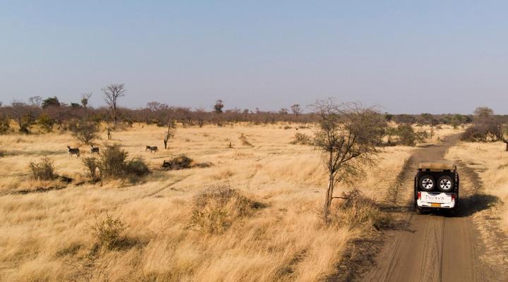 Divava Okavango Resort and Spa