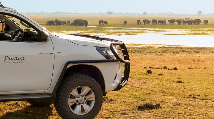 Divava Okavango Resort and Spa