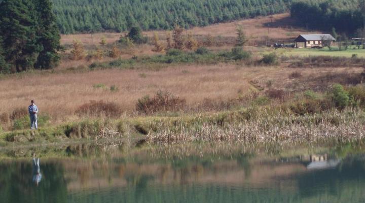 Gunyatoo Trout Farm & Guest Lodge