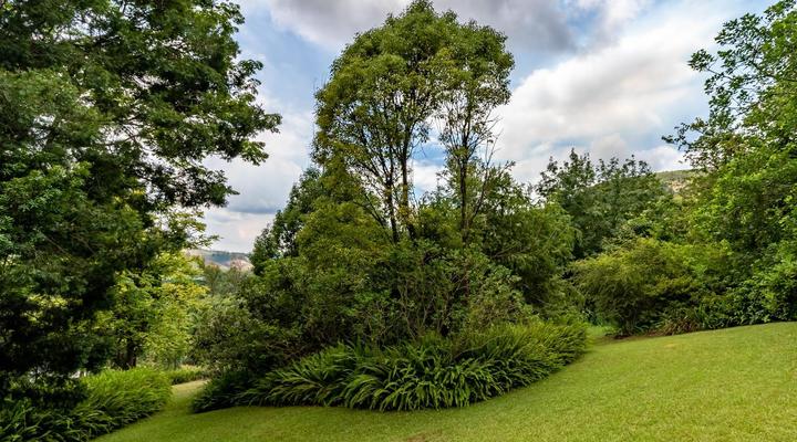 Porcupine Ridge Guest House