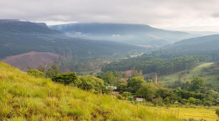 Porcupine Ridge Guest House